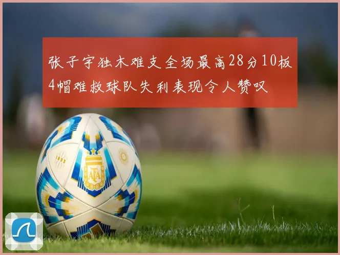 张子宇独木难支全场最高28分10板4帽难救球队失利表现令人赞叹
